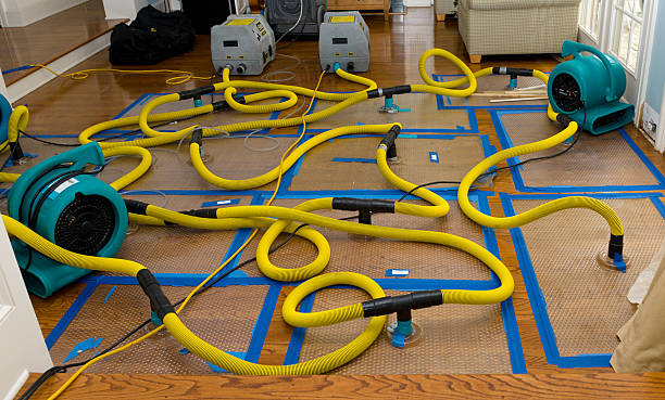 Professional Storm Water Damage Restoration technician working in Glenwood Springs, CO